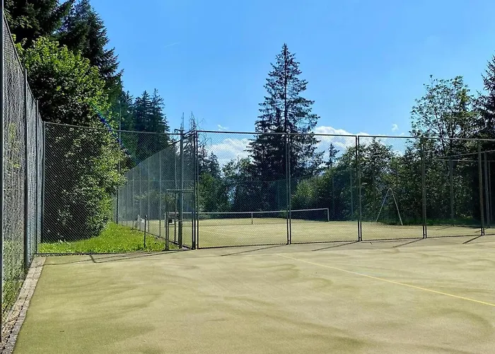 Elegant Design With Pool, Sauna, And Private Parking * Laax