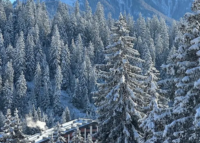 Elegant Design With Pool, Sauna, And Private Parking